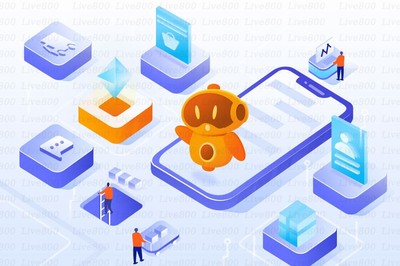 Live800 618硬仗过后，你的在线客服还稳健吗？——电子商务信息咨询视角